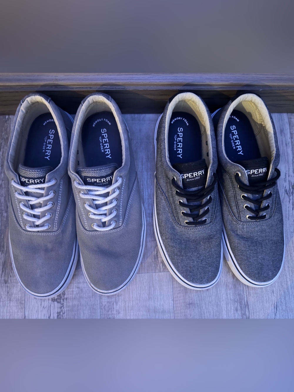 Sperry Men's Sneakers - Classic Low-Top - Picture 2 of 3